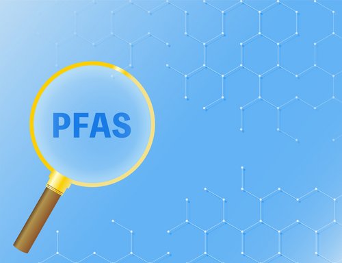 PFAS unter dem Mikroskop