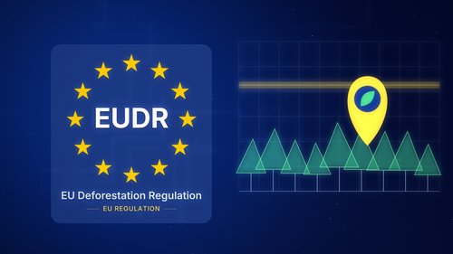 Die EU-Abholzungsverordnung Glaskarte mit goldenen Sternen und einem Waldscan-Raster