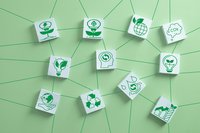 Grüne Wirtschaft und nachhaltige Wachstumsstrategie. Netzwerk aus weißen Blöcken mit Ökologie-Symbolen, die durch Linien auf grünem Hintergrund verbunden sind.