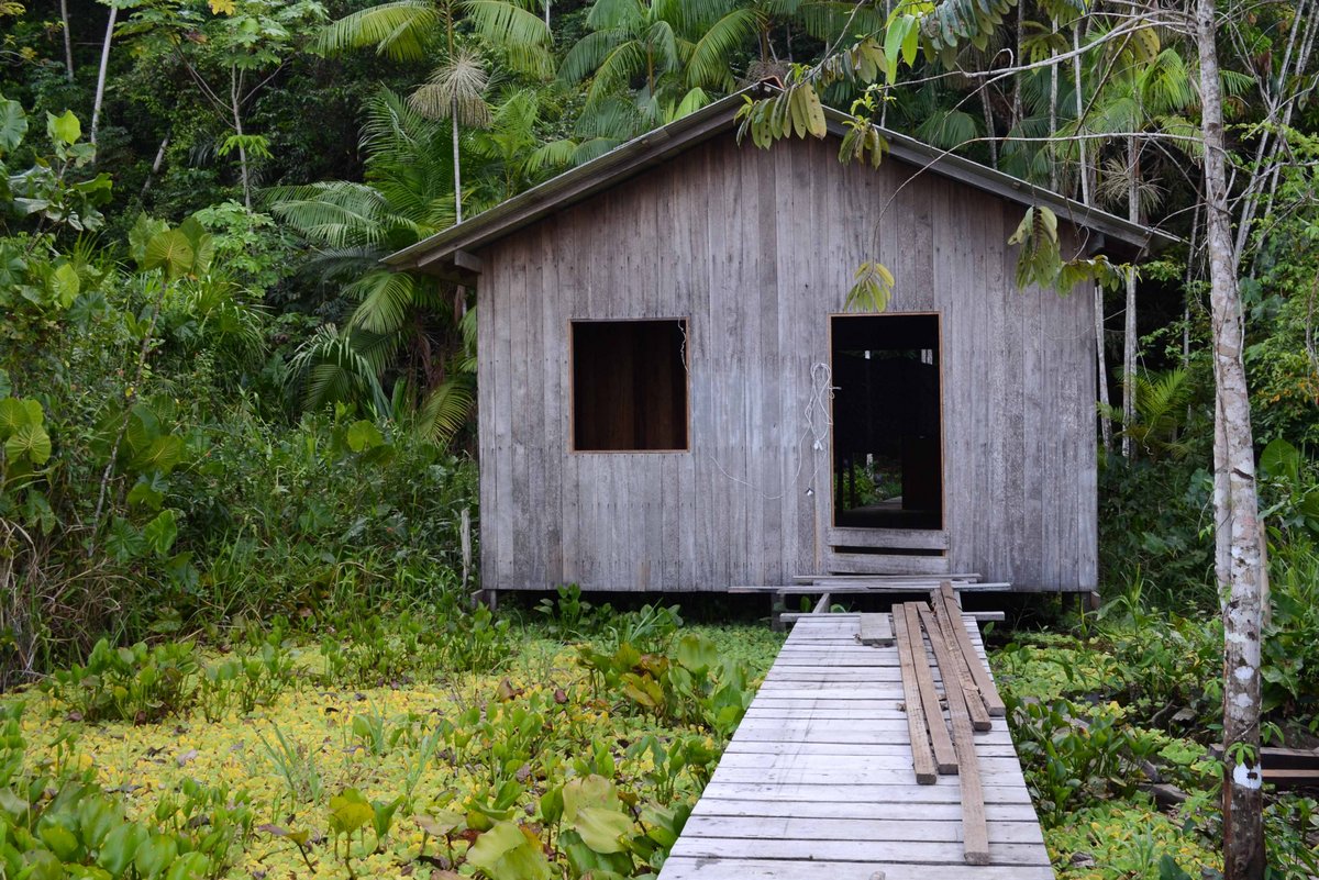 Im Regenwald in Brasilien steht eine Hütte aus Holz, ein Steg führt auf sie zu.