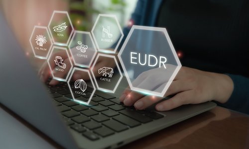 Umsetzung des Konzepts der EU-Entwaldungsverordnung (EUDR). Verwendung eines Laptops mit Symbolen regulierter Waren; Ölpalme, Soja, Holz, Kakao, Kaffee, Vieh, Gummi. Rückverfolgbarkeit, Nachhaltigkeit.