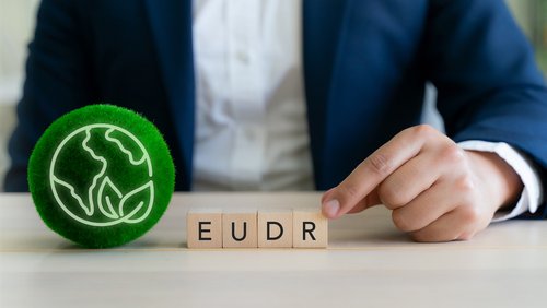 Mensch am Büro mit Holzwürfel und eine Weltkugel auf grünen Moos