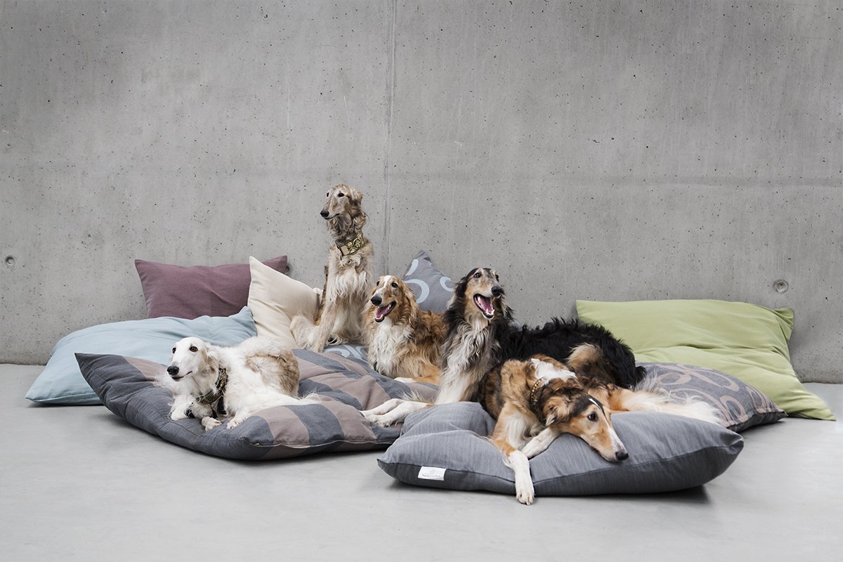 Verschiedene Hunde liegen eingekuschelt auf verschiedenen farbigen und gemusterten Kissen von Darling Little Place vor einer grauen Wand.