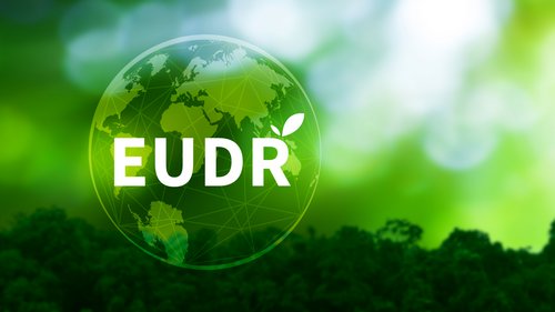 EU-Entwaldungsverordnung EUDR, Nachhaltige Praktiken und unternehmerische Umweltverantwortung