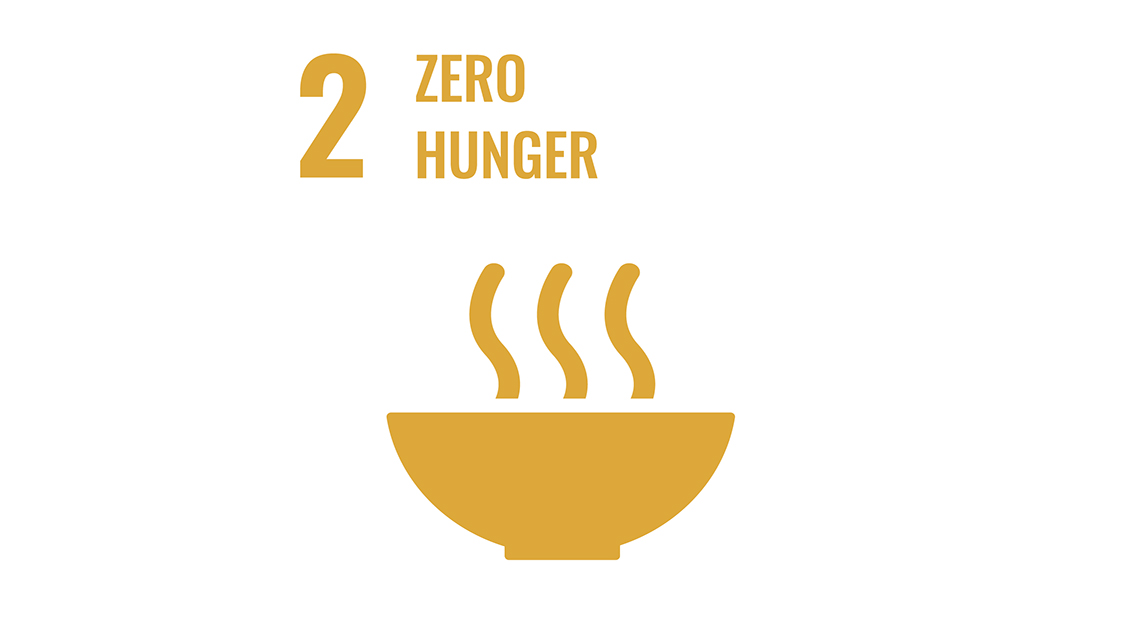 SDG Logo 2 Hunger, Dampfende Schüssel