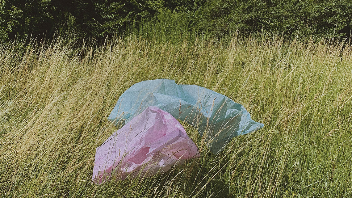 Eine rosafarbene und eine hellblaue Plastiktüte liegen in einem Feld mitten in der Natur.