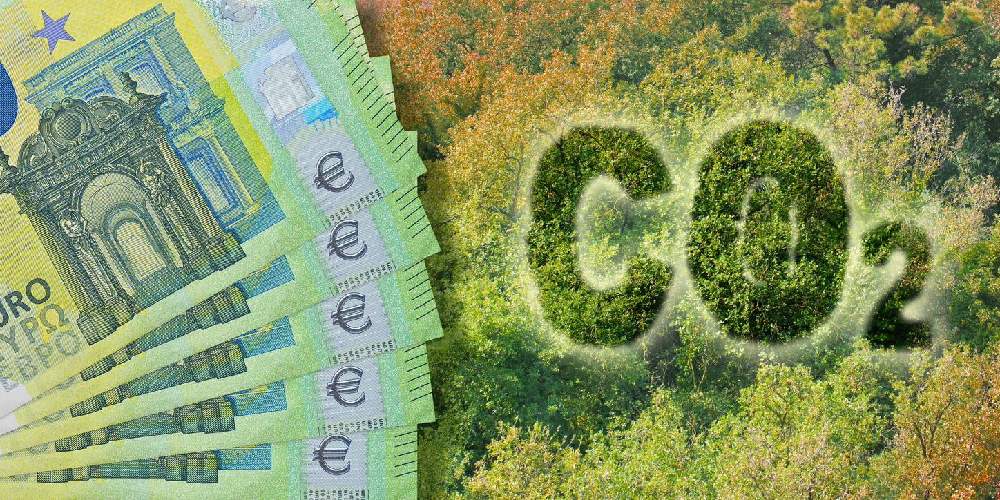 Kosten zur CO2-Reduktion - Konzept mit CO2-Text gegen Wald und europäische Euro-Banknote