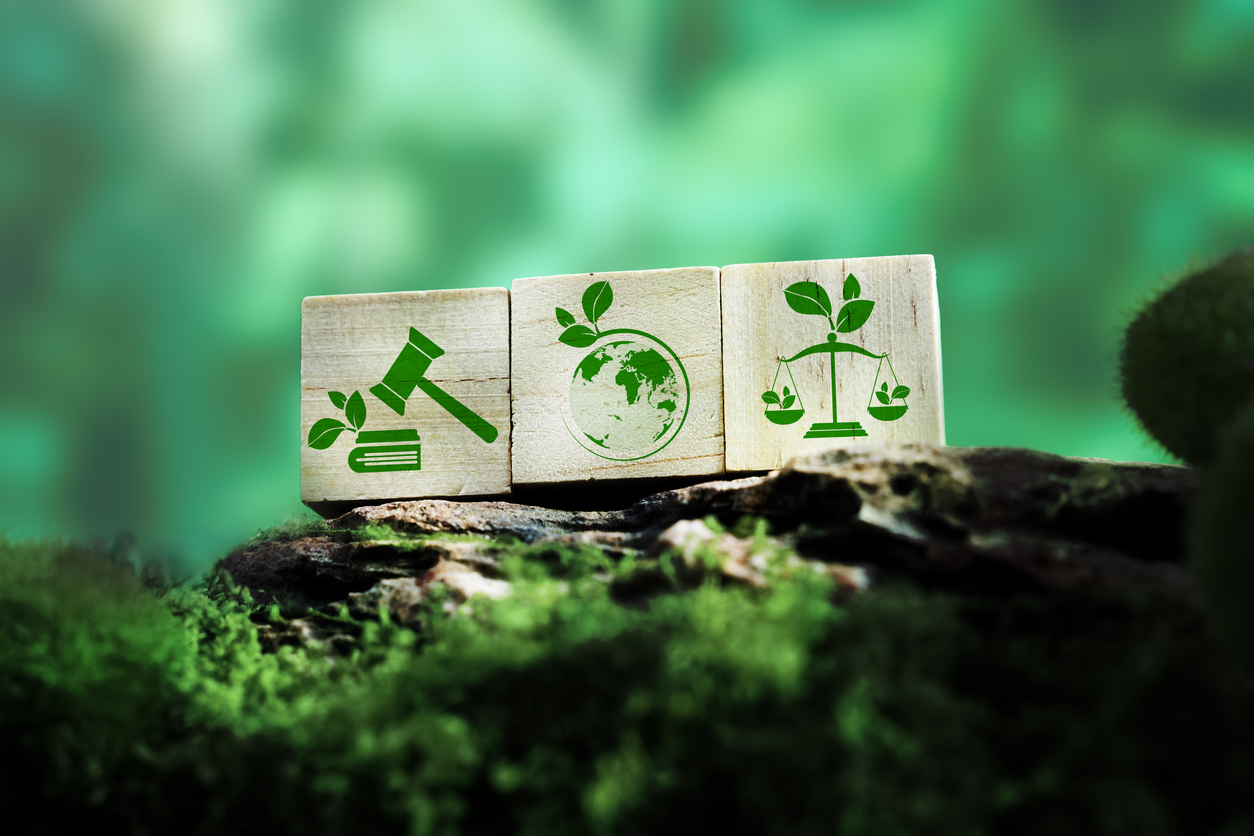 Symbole für nachhaltiges Recht und ökologische Gerechtigkeit auf Holzwürfeln auf grünem Waldhintergrund, die Umweltrechte darstellen