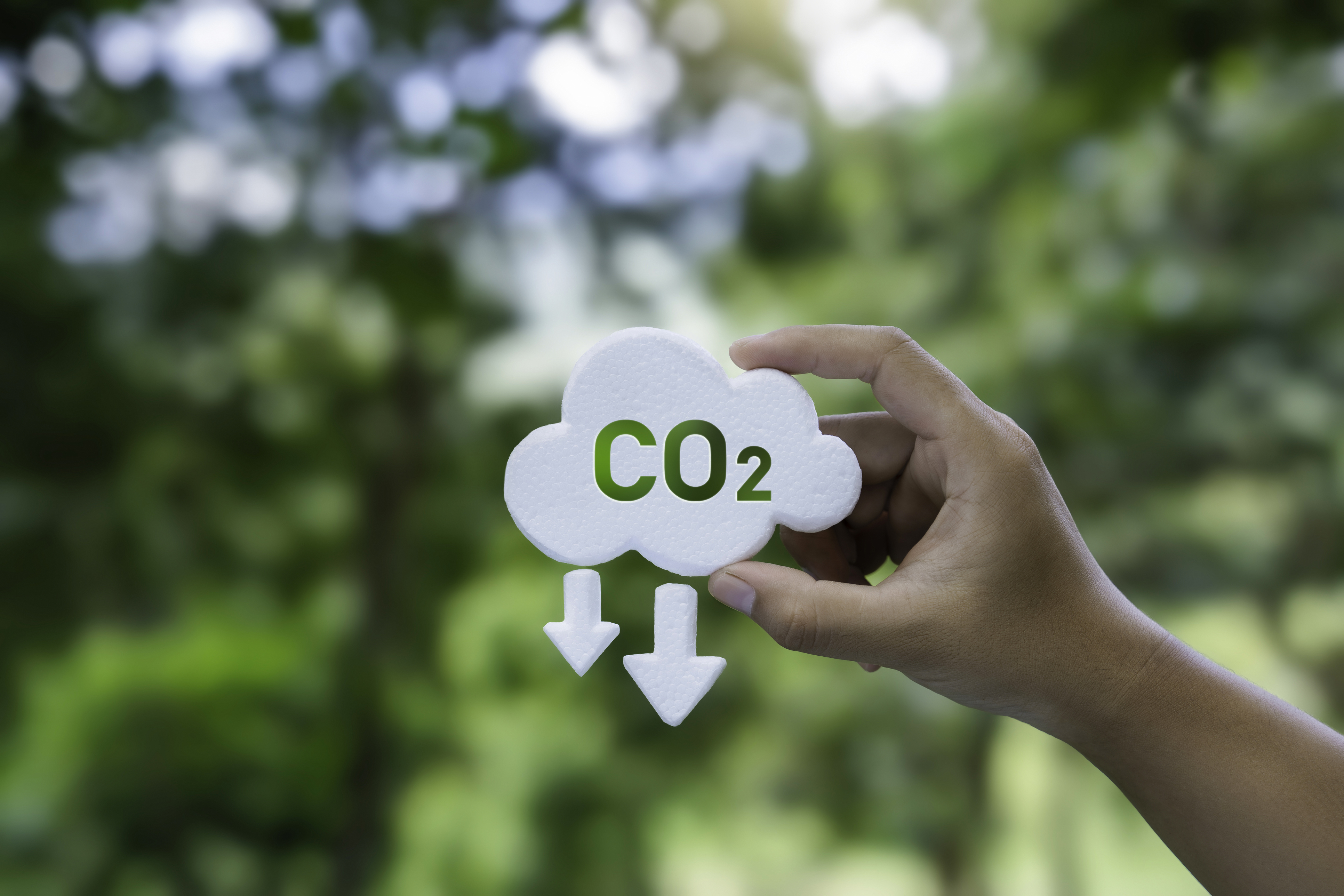Wolke mit CO2 Zeichen drauf wird in die Luft gehalten vor grünen Bäumen