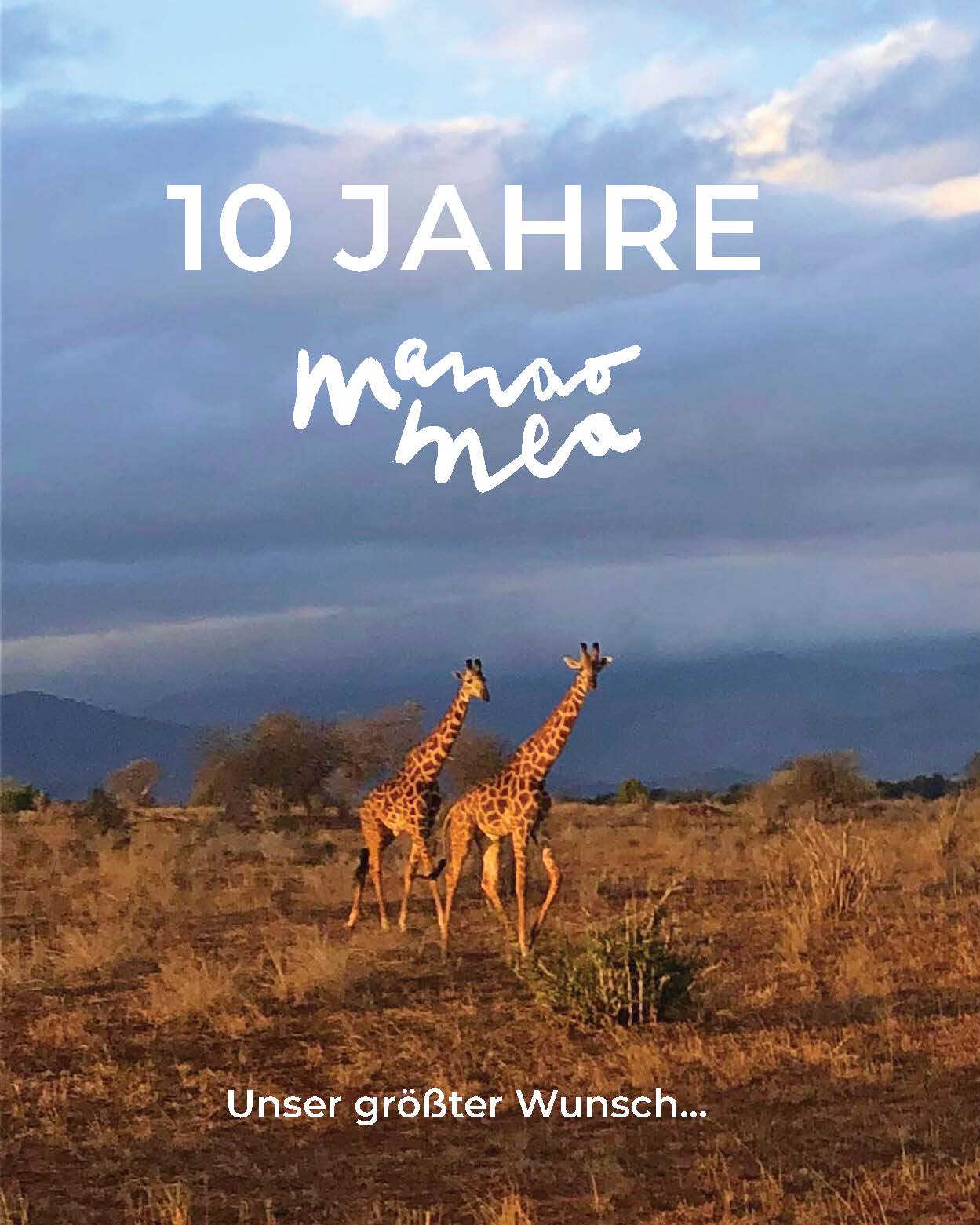 Zwei Giraffen